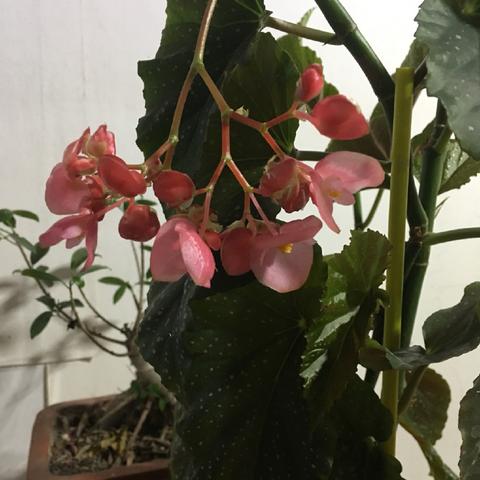 (小便憋不住有什么偏方吗?)如何调理小便憋不住的情况,避免尿到裤子里的尴尬与困扰指南 (小便憋不住有什么偏方吗?)如何调理小便憋不住的情况,避免尿到裤子里的尴尬与困扰指南