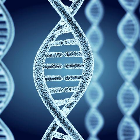 深度阐述生物科学视角下:如何创作生动丰富的细胞成长日记并揭示其科学内涵 深度阐述生物科学视角下:如何创作生动丰富的细胞成长日记并揭示其科学内涵