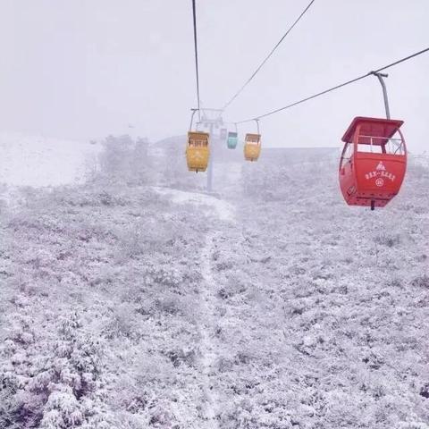 (一起来飞车官方版本下载安装)一起来飞车下载安装,同欢乐激情驰骋极速世界 (一起来飞车官方版本下载安装)一起来飞车下载安装,同欢乐激情驰骋极速世界