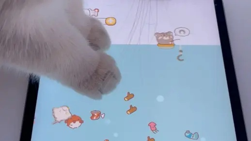(猫咪在平板上玩鱼)小猫在平板上玩抓鱼游戏,捕捉每一条快乐 (猫咪在平板上玩鱼)小猫在平板上玩抓鱼游戏,捕捉每一条快乐
