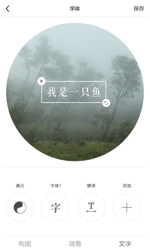 (ocamera软件的使用教程)深入评测和使用体验:Ocamera手机版摄影应用全面解析