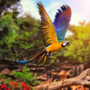 (揭秘我欲封天罗天本体是谁的身份背后的真相)揭秘我欲封天罗天本体是谁的身份背后的真相