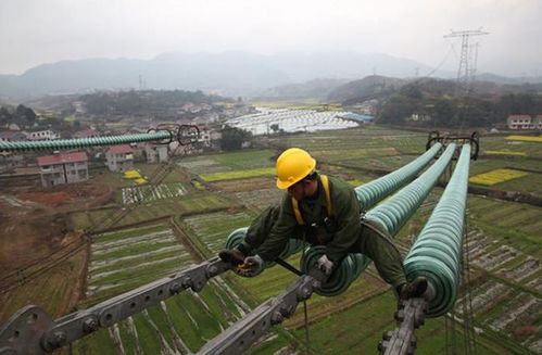 代号黑龙叶凌霄:究竟是谁?背后隐藏着怎样的秘密与真相?