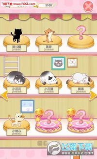 探寻猫宅生活之美:轻松愉悦的猫宅日记,记录猫咪的点滴生活点滴