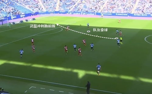 (拜仁意大利球员)拜仁成功购入意大利新草皮,提升训练场地品质及球队表现