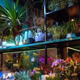 (10月超市促销商品以什么为主)“10月商品零售大幅增长,创造今年最佳表现” (10月超市促销商品以什么为主)“10月商品零售大幅增长,创造今年最佳表现”