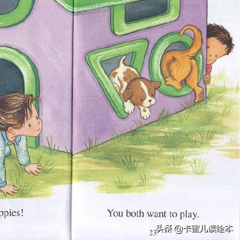 (宠物饼干制作方法)用宠物魔法饼干为你的小猫小狗带来无尽的乐趣与惊喜