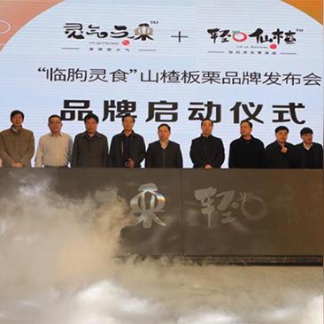 时灵cp:浪漫笑点满满,网友追捧的热门神仙搭配,让人笑得停不下来! 时灵cp:浪漫笑点满满,网友追捧的热门神仙搭配,让人笑得停不下来!