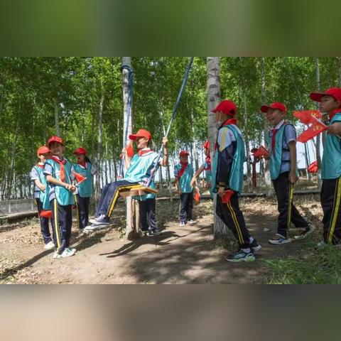 免费下载安装北斗导航软件手机版，畅游科技新时代智能出行神器