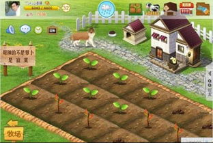 小小大农场攻略:全新指南教你如何优化农田布局、提升作物产量