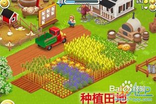 小小大农场攻略:全新指南教你如何优化农田布局、提升作物产量 小小大农场攻略:全新指南教你如何优化农田布局、提升作物产量