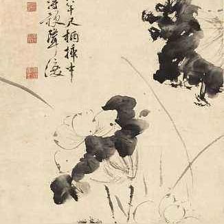 (代号风鸢)代号鸢港服:探索新世界的奇幻冒险与沉浸式游戏体验