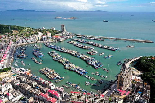 (福建渔船沉没)2024年1月31号福建沿海渔船停航，渔业受冲击，导致捕鱼产量骤降