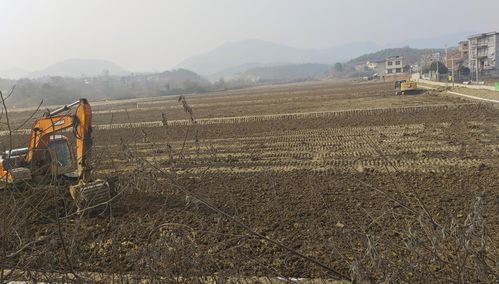 (改造良田)这城有良田修改器:提升农田产量,改善土壤质量的有效工具 (改造良田)这城有良田修改器:提升农田产量,改善土壤质量的有效工具