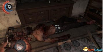 (耻辱保险箱密码大全3dm)揭秘耻辱攻略：如何找回保险箱密码并重塑尊严？